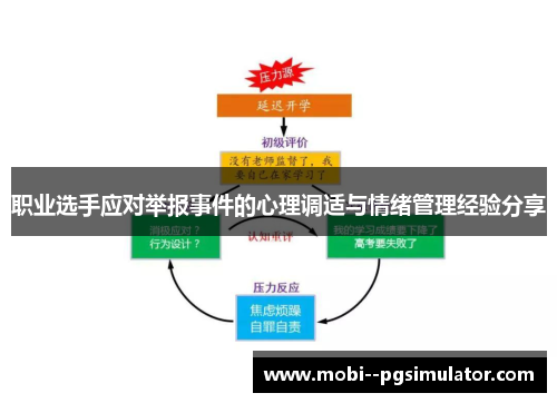 职业选手应对举报事件的心理调适与情绪管理经验分享