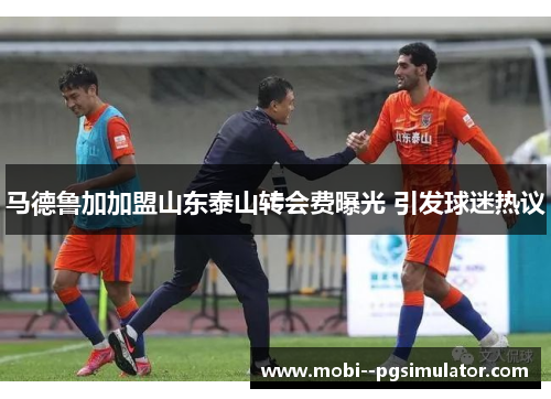 马德鲁加加盟山东泰山转会费曝光 引发球迷热议