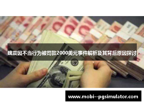 魏震因不当行为被罚款2000美元事件解析及其背后原因探讨